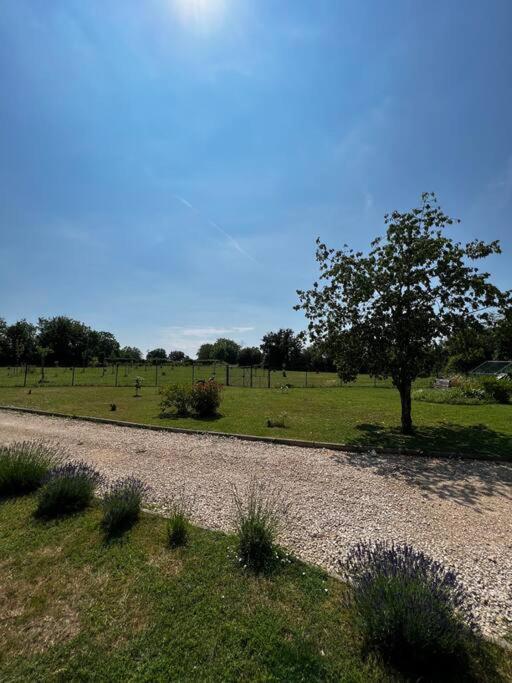 Longere Berrichonne, Calme Absolu, 13 Personnes Villa Saint-Pierre-les-Etieux Bagian luar foto